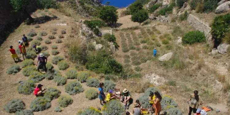 el valle desde de la trapa Primera finca de custodia del territorio de mallorca