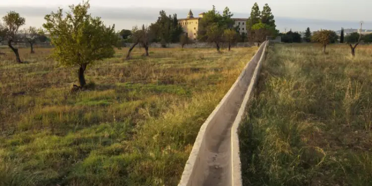 Parque agrario Palma