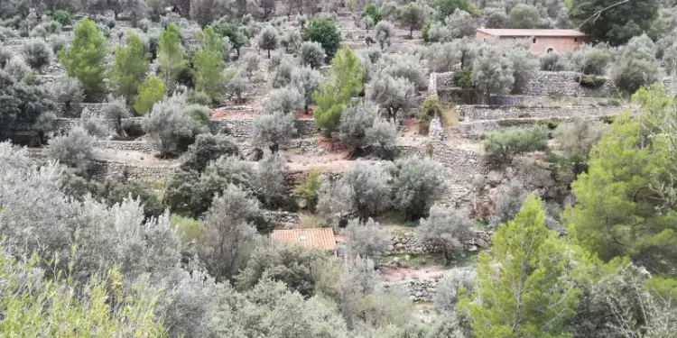 Vista del camino del barranco de Biniaraix