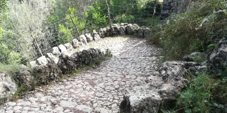 Sendero de bajada del barranco de biniaraix para feim barranc