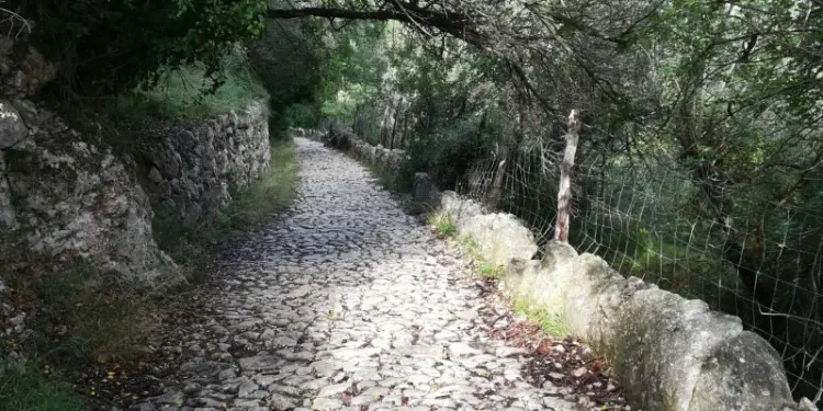 limpieza y mantenimineto del barranco de biniaraix con feim barranc