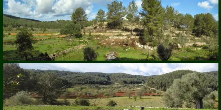 Can Toni d’en Jaume Negre. Biodiversitat i cultura