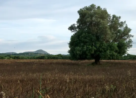 finca en custodia del territorio