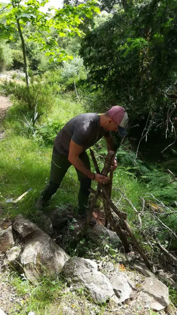 el-bosque-de-ribera-del-valle-josafat_23