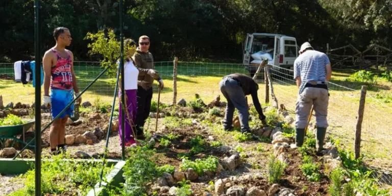 elbuitre-negro-en-mallorca-13
