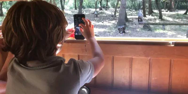 NIÑO EN SITIO DE AVISTAMIENTO DE PAJAROS