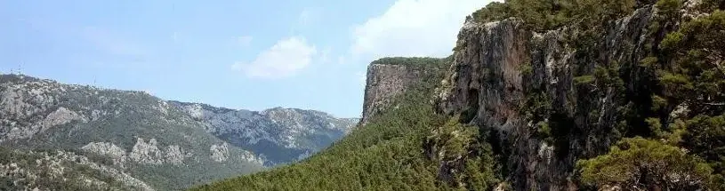 paisaje de la sierra de la tramuntana con Los estudiantes se implican en la gestión de la Comuna de Bunyola