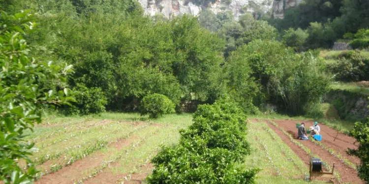 La Red de Fincas Agronaturales promovidas por el GOB Menorca