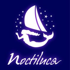 02_nocti_degradado-237x237