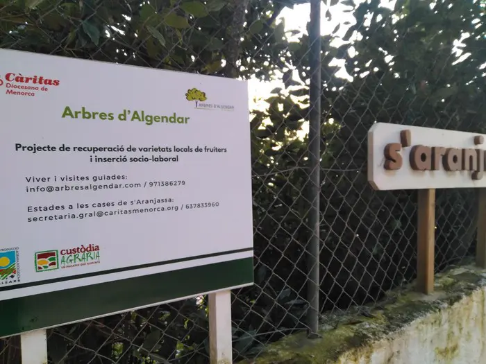 Árboles de Algendar_5