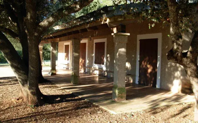 Los scouts se ponen manos a la obra por el territorio