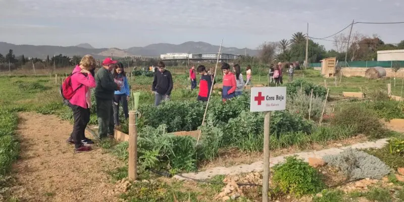 "Sembrando salud", huertos por el bienestar de las personas