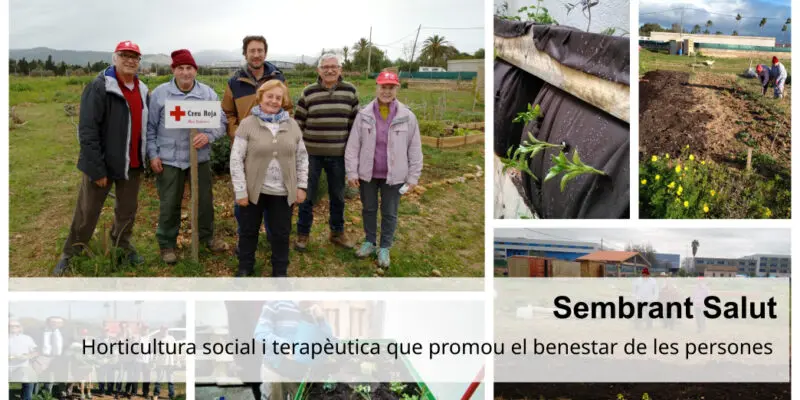 Huertos sociales - Cruz Roja