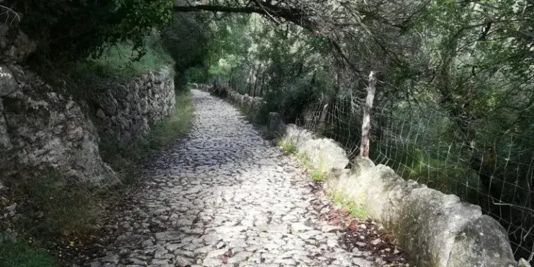 feim_barranc_1