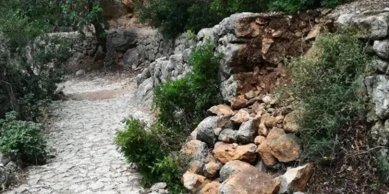 feim_barranc_18