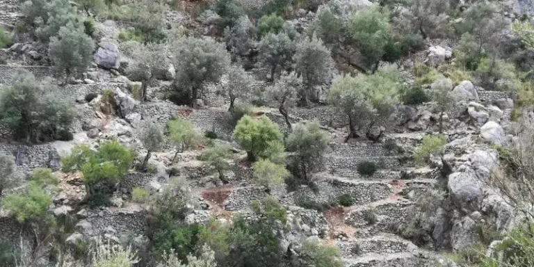 feim_barranc_19