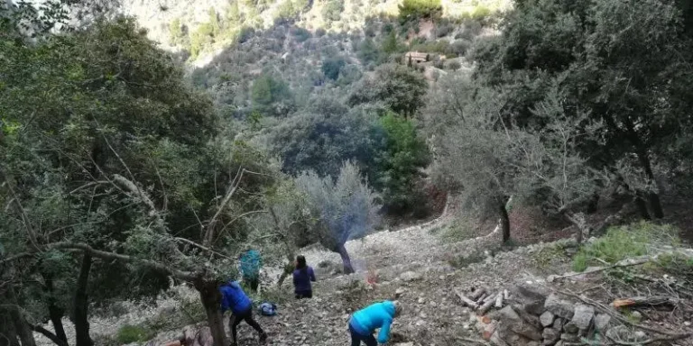 feim_barranc_2