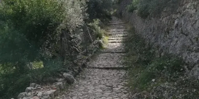 feim_barranc_7