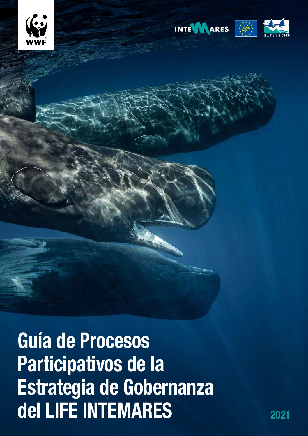 Guía de Procesos Participativos de la Estrategia de Gobernanza